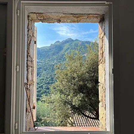 Superbe Vue Avec Piscine 别墅