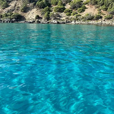 Superbe Vue Avec Piscine * 蒙蒂塞洛