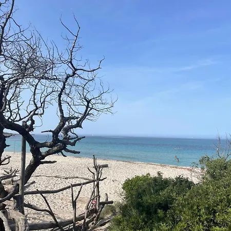 Superbe Vue Avec Piscine 别墅